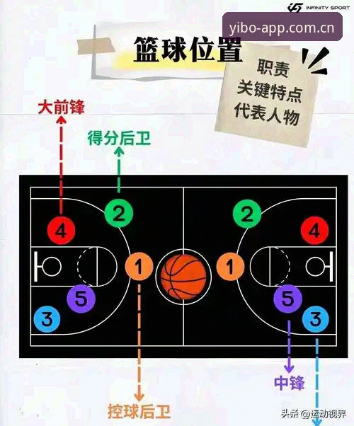 亿博体育官网入口哪个好 亿博体育平台入口选择完整指南:从新手到高手的实用攻略